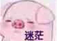迷茫（猪头头像表情）