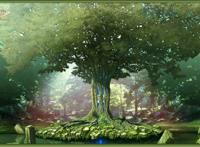 千年之树茂密森林图片