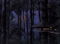 夜晚林中深处亮着灯的木屋图片