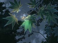 卵泡虐玩漫画之尿扩极限残暴