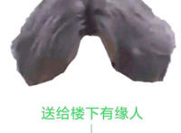 送给楼下有缘人（蔡训坤的头发）