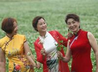 穿旗袍的退休大妈