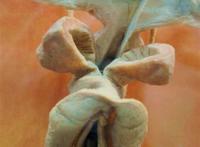 女性生殖好看图片