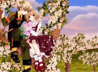 《魔卡少女樱》小樱小狼