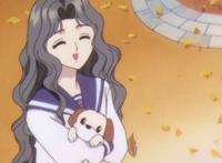 天宫抚子,木之本抚子