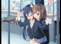 轻音少女  轻音少女