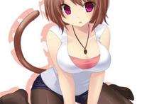 二次元球袜控福利图