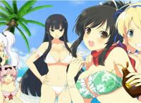 【闪乱神乐ev】中文版