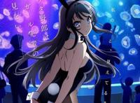 青春猪头少年不会梦到兔女郎学姐本子