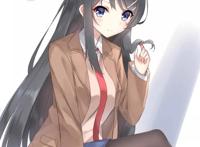 动漫人物壁纸 ·青春猪头少年不会做兔女郎学姐的梦