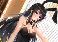 樱岛麻衣,做梦也想不到的兔女郎