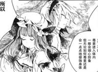 帕秋莉魔法实验本子