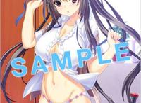 恋爱游戏《坂上台风》