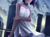 fgo 插图 【二百零六】哈桑·萨巴赫(静谧)