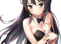 藤原书记,宝多六花,新条茜,樱岛