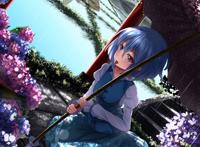 东方project,多多良小伞本子,福利本子