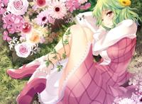 风见幽香福利本子