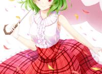 东方project 风见幽香