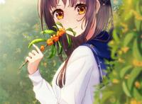 jk p站 网络 二次元 手绘 美 动漫