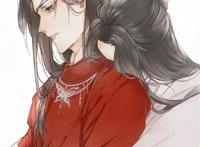 天官赐福谢怜花城情头