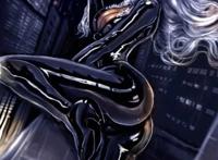 dc猫女和漫威黑猫