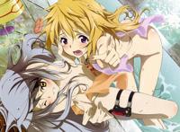 动漫作品《infinite stratos》