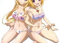 is 学园,「infinite stratos」