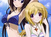 is world purge篇(infinite stratos world purge)