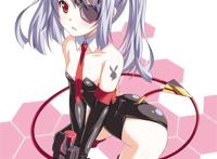 anime picture infinite stratos №540640
