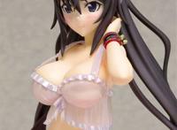 内衣style is〈infinite stratos〉 筱之之帚