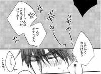 【bl漫画】《幸福新娘的婚后计划》