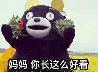熊本熊母亲节祝福语表情