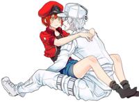 日漫《工作细胞》同人手绘壁纸