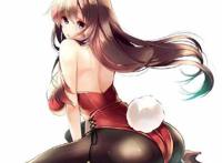 二次元兔女郎邪恶本子