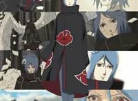 百豪樱黄本子 晓组织全体上小南