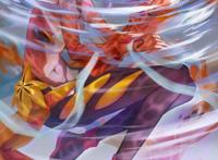 壁纸罪恶王冠@159期