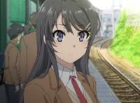 长瀞同学请不要欺负我本子 