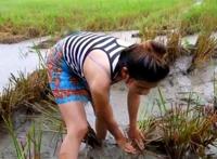 农村干活美女图片 农村