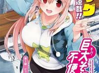 巨大索尼子本子 