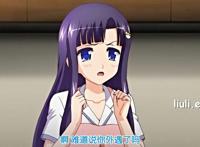 [poro petit]あねちじょマックスハート 溺爱美少女姉