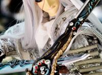 霹雳金光大本命