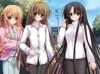 少女爱上姐姐的第一季,ove