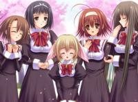 少女爱姐姐动漫第二季 