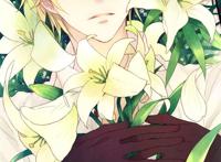 亚瑟-アーサー  绅士道#女生#二次元