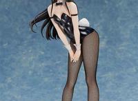 樱岛麻衣的图片