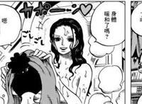 罗宾桃之助正h太本子