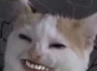 五人专用沙雕头像