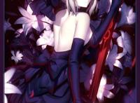 fate游戏saber补魔图片