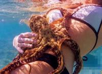 美女把章鱼放进下面