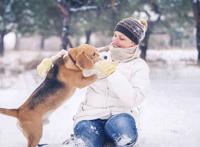 像狗一样趴着叫我主人 淫娃性奴小姨 像狗一样趴着叫我主人 淫娃性奴小姨